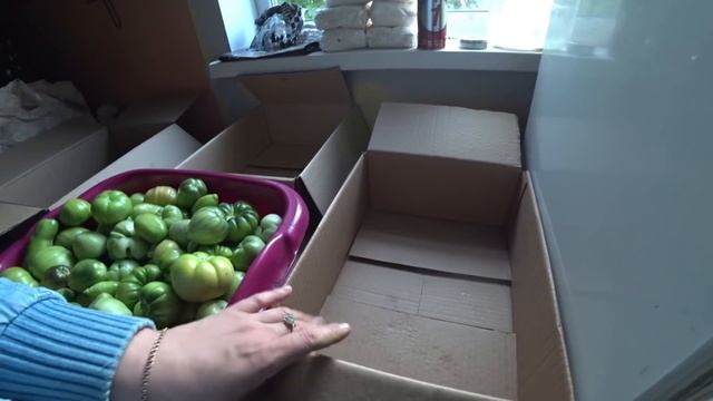 Стройка Эксперт