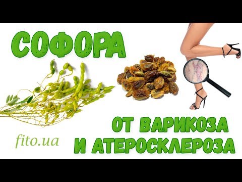 Отвар софоры японской для укрепления и очищения сосудов для густоты волос смотреть онлайн