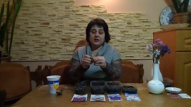 Как я сею эустому.Первые всходы. смотреть онлайн