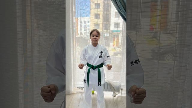 Zendokai Budo Karate-do смотреть онлайн