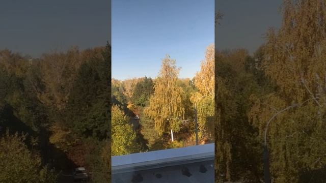 Осень - сказочный чертог!!! смотреть онлайн