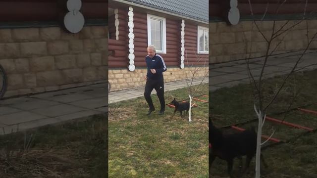 Тренировка по футболу в домашних условиях смотреть онлайн