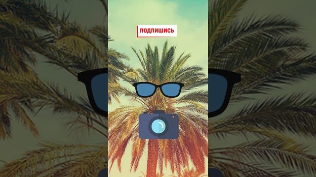 Тимур делал вид что читает. А сам записывал видео смотреть онлайн