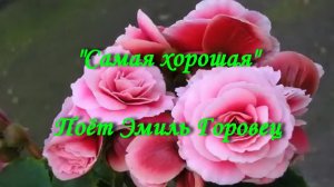 Самая хорошая