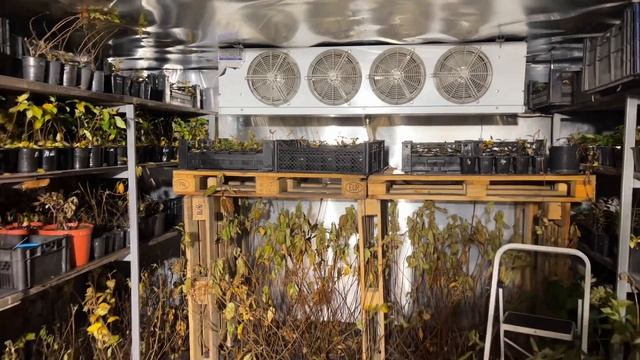 Запустила термос. смотреть онлайн