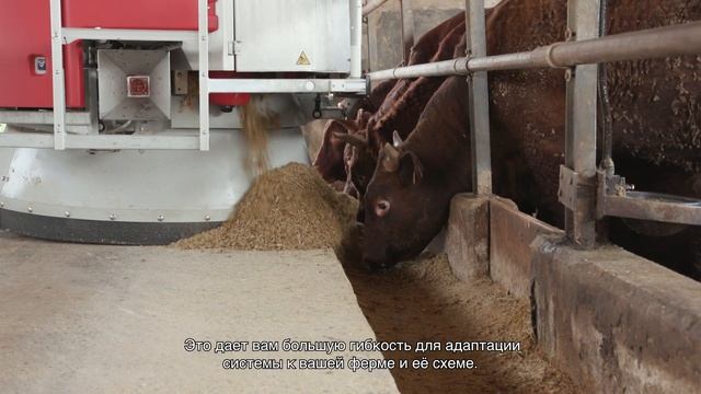 Автоматическое кормление с системой Lely Vector   Новый робот кормораздатчик