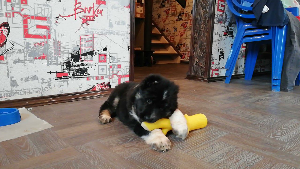 VID 20211031 130543 смотреть онлайн