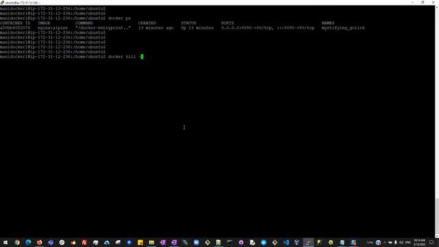 08)How to check Docker Process and Kill Process смотреть онлайн