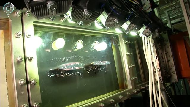 В Институте теплофизики СО РАН показали новейшие разработки смотреть онлайн