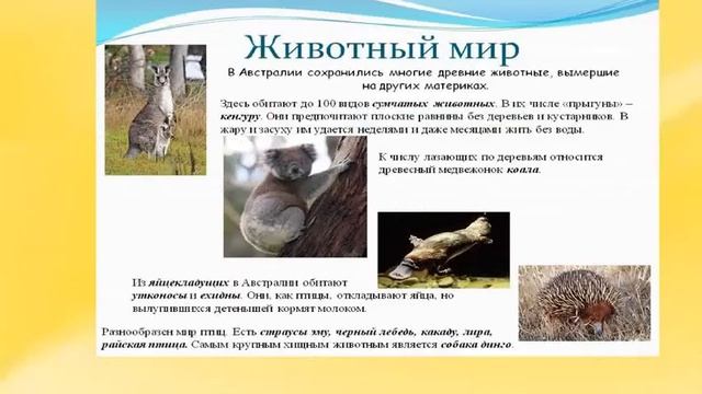 Презентация АВСТРАЛИЯ смотреть онлайн