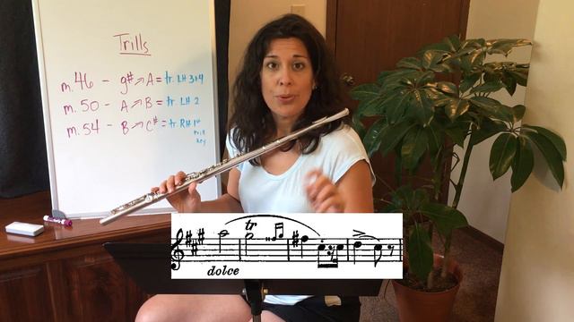 Selected Studies Vivace: Nuts & Bolts | Savvy Flutist's Guide to Missouri All-State band смотреть онлайн