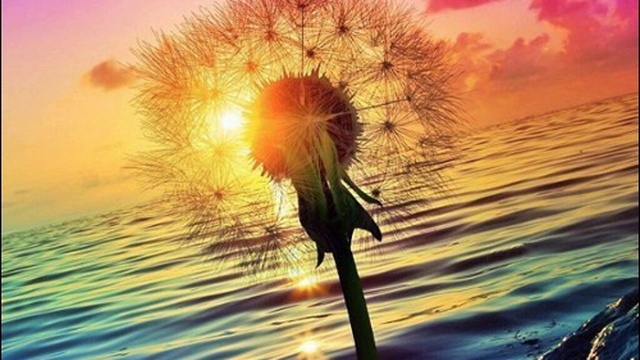 DeeJay Dan - Deep In My Soul 21 [2016] смотреть онлайн