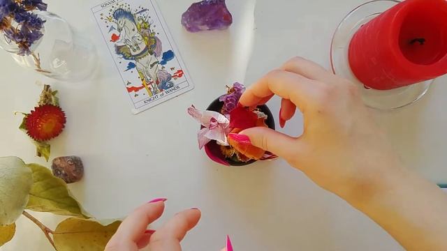 Create & Read an Oracle Set with Flowers | Witchy How To | Divination DIY смотреть онлайн