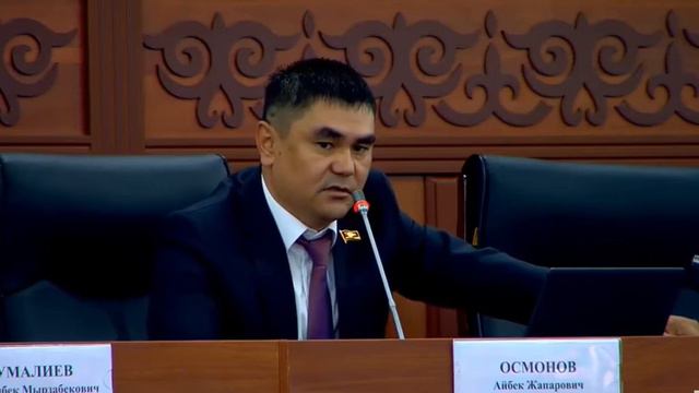 Депутат Айбек Осмонов предложил решение для пропаганды чтения среди детей смотреть онлайн