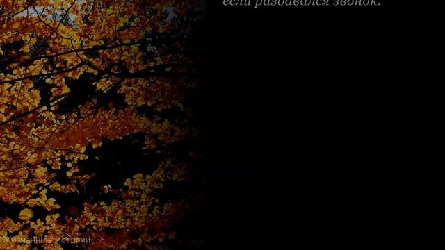 Рассказ. Друг из детства. - Эй, ты, кудрявая овечка! Люба обиженно крутила у виска... аудио рассказ смотреть онлайн
