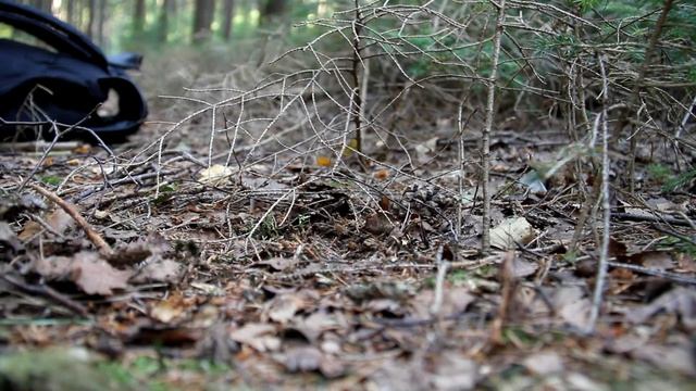Гонза знакомится с первыми Белыми грибами смотреть онлайн