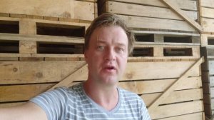 Можно ли заработать на сборе клубники?