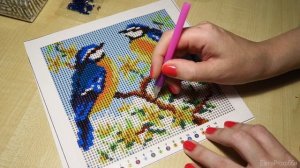 Отличная АЛМАЗНАЯ МОЗАИКА из ФИКС ПРАЙС!