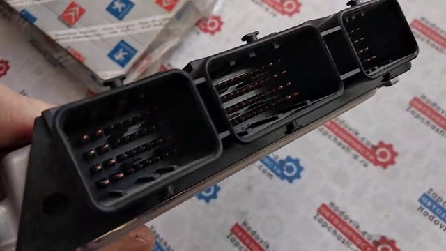 Реставрация прошлого