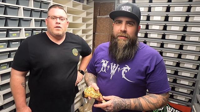 Is your Trojan better than mine?? смотреть онлайн