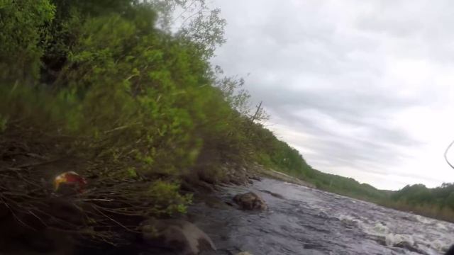 Сёмга. Настоящая борьба. Смотреть до конца. смотреть онлайн