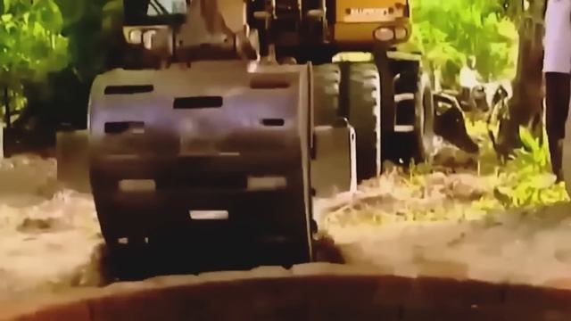 Sie sahen eine Elefantenmutter, die um Hilfe schrie und folgten ihr. Was dann geschah, schockiert смотреть онлайн