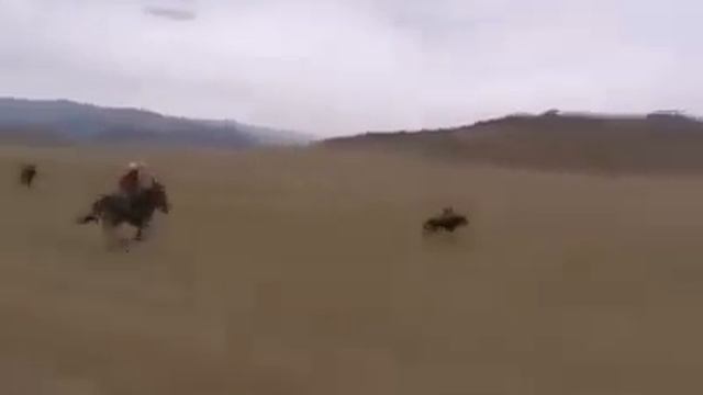 Bayan Ulgii 70 Jil . Azarganii Uraldaan .Баян Өлгий 70 жил смотреть онлайн