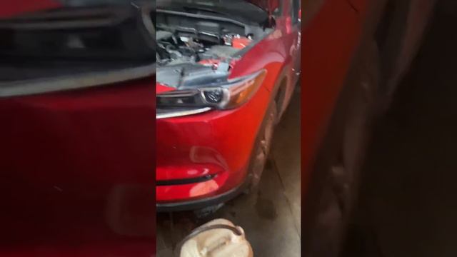 Servicio de caja cx5 2017 смотреть онлайн