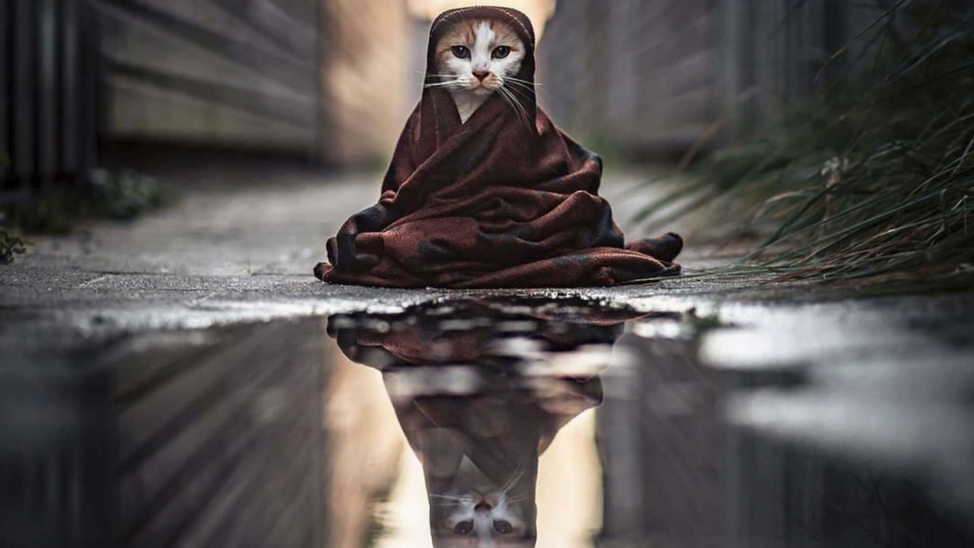 Сектор Газа - Гуляй мужик (J.J Fox remix) смотреть онлайн