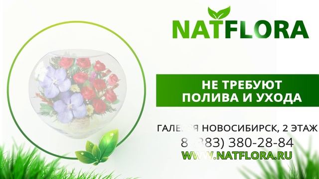 Неувядающие цветы в стекле (в вакууме) NatFlora Новосибирск смотреть онлайн