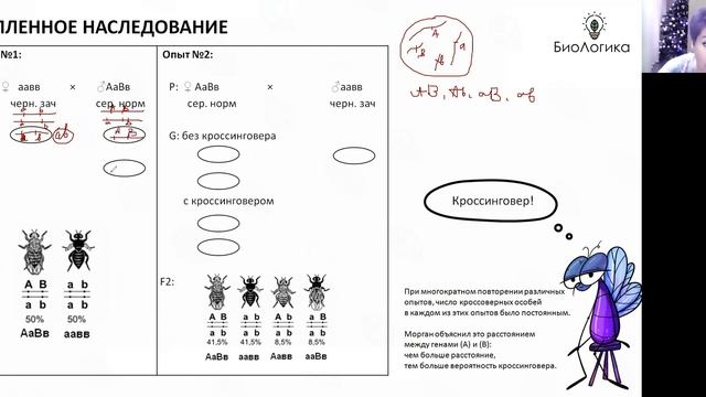 Лекция 23. Генетика Сцепленное Морган смотреть онлайн