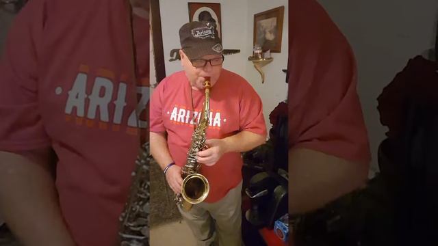 🎶I go to the rock 🎶🎷🎷Alto sax by Steve Brydges смотреть онлайн