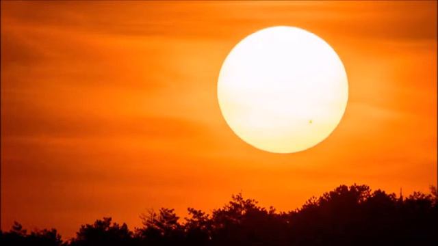 Roland Juno DS - Under The Sun смотреть онлайн