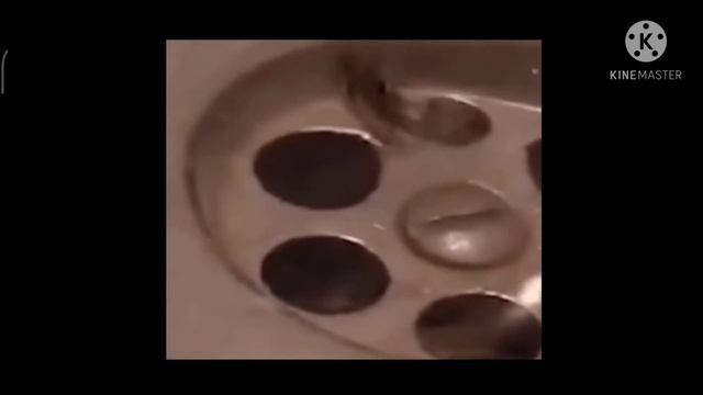 муха плавает в джакузе))👍 смотреть онлайн