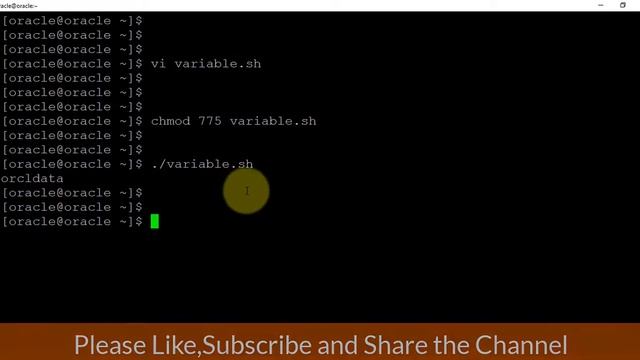[Updated] Shell Variable,Read Input Data,Print Message in Shell Script | Oracle DBA Shell Scripting смотреть онлайн