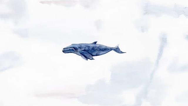 Whale sounds with relaxing music|Rest, sleep, relaxation. Звуки китов| Отдых, сон, расслабление смотреть онлайн