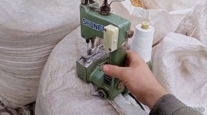 кукуруза корм для свиней