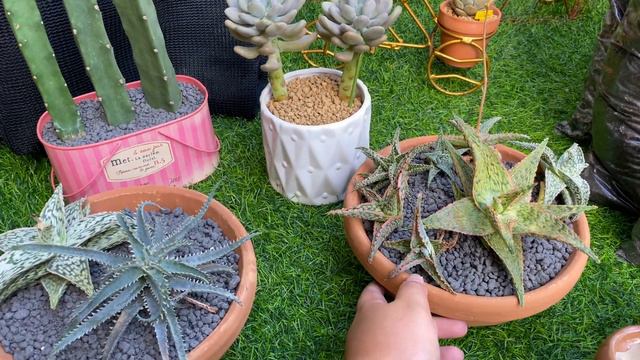 Assorted Haul and Gifts!! смотреть онлайн