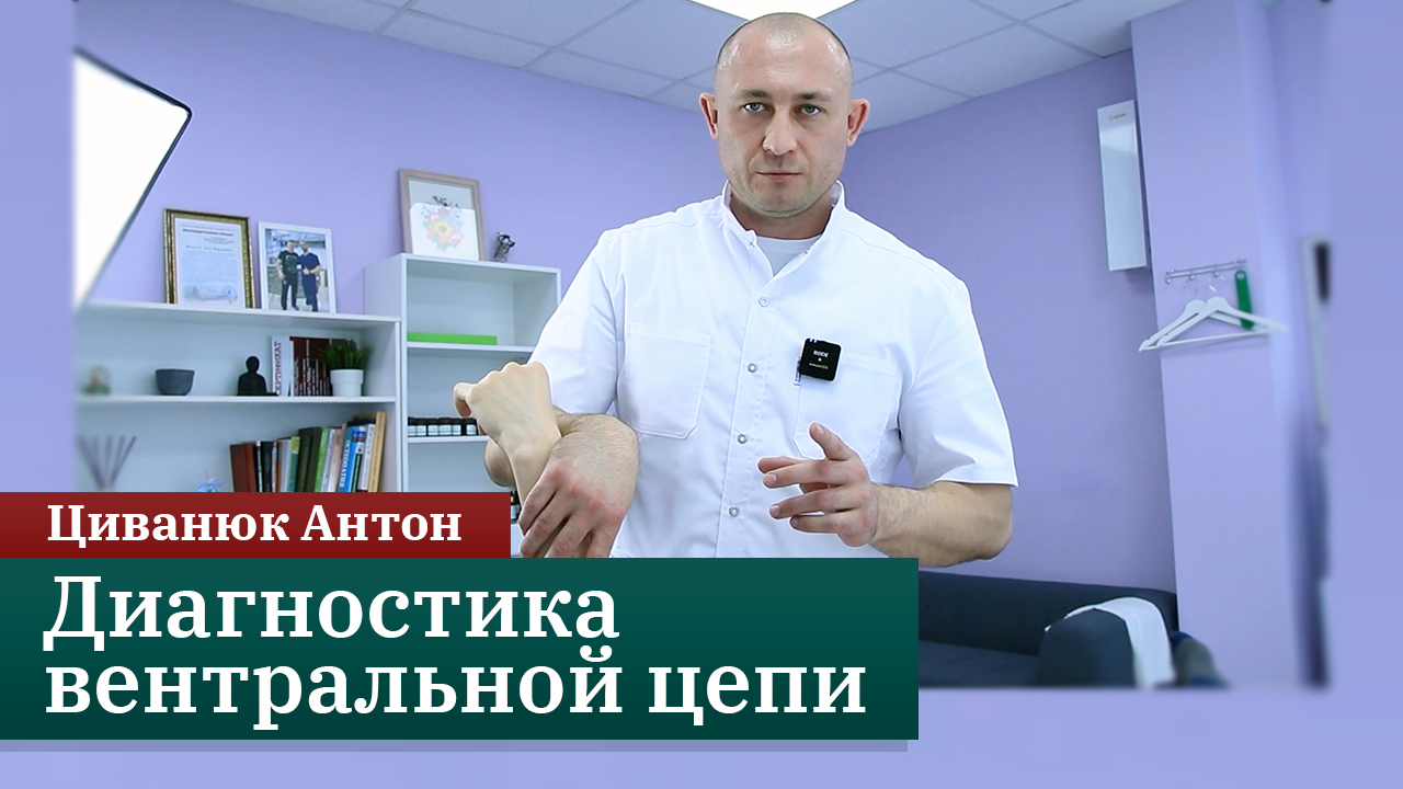 Диагностика вентральной цепи. Прикладная кинезиология. Циванюк Антон смотреть онлайн