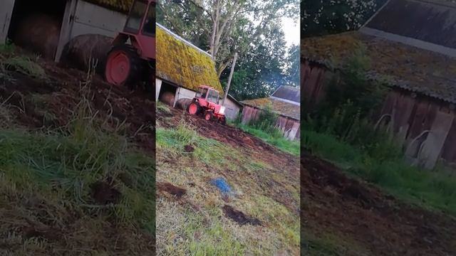 Т25 возим сено смотреть онлайн