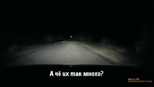 Попросила Сбить Кабана смотреть онлайн