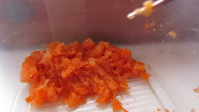 Житие мое Синицы день пятый смотреть онлайн