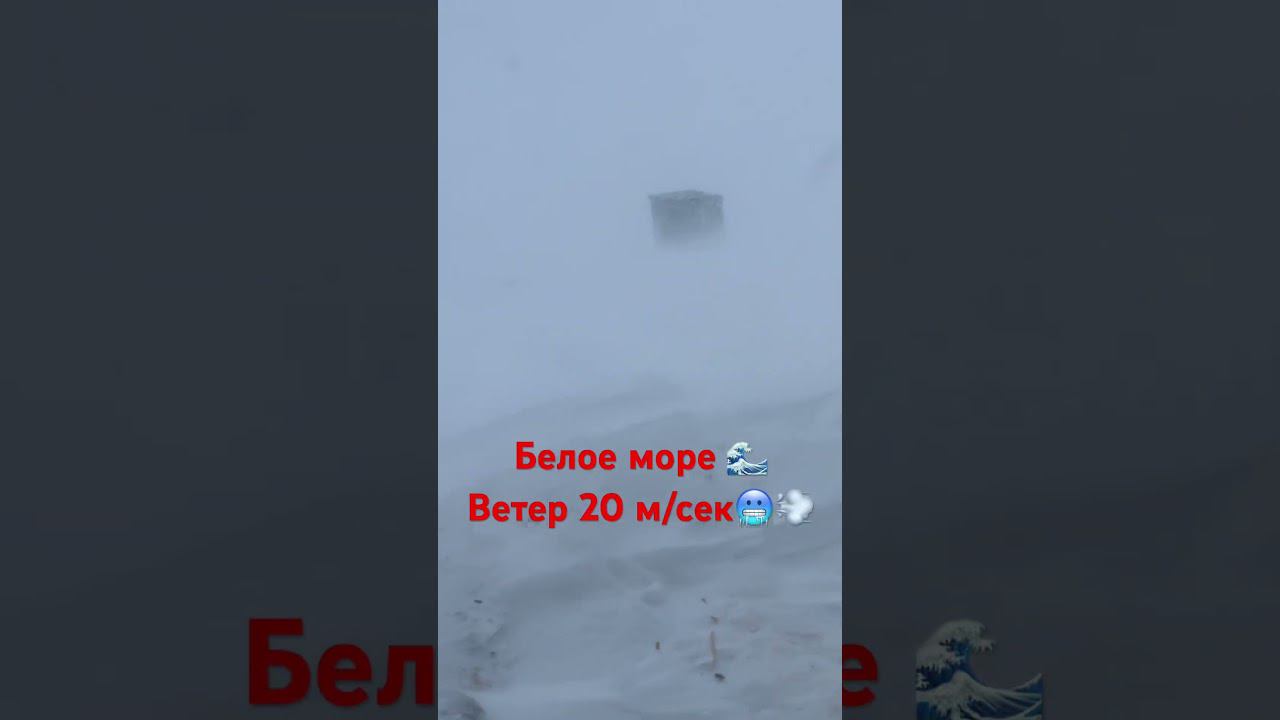 Мощнейшая пурга на Белом море Опасные покатушки на снегоходах⛔️ #рыболов_севера #белоеморе смотреть онлайн