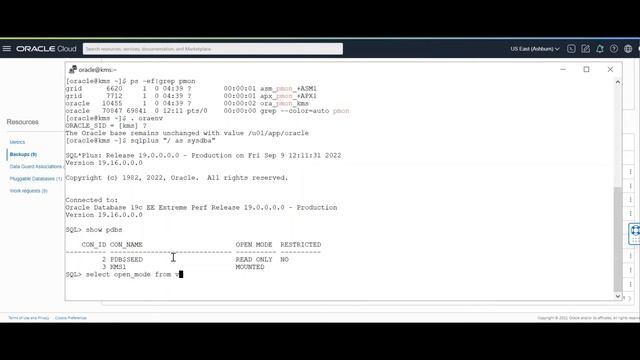 DBCLI Automatic Backups and Troubleshooting смотреть онлайн