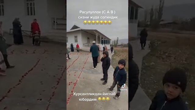Биби хоним гулари смотреть онлайн