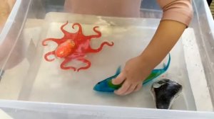 Морская битва Тигровой акулы и Кальмара Вампира. Серия Морские бестии от Де Агостини