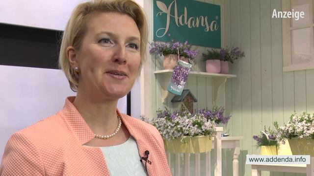 IPM 2016: Addenda – Trendige Campanula-Pflanzen