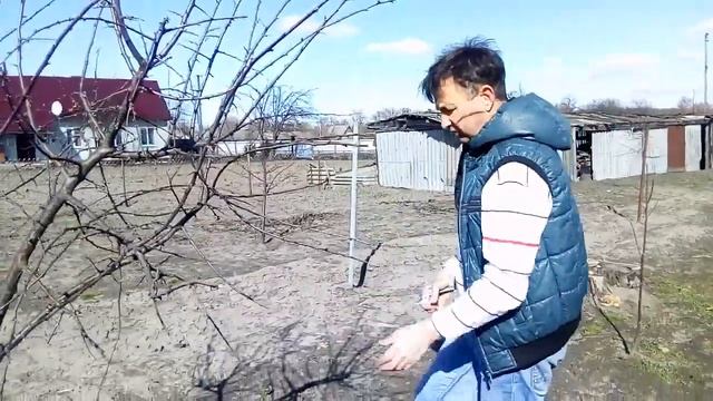 Обрезка алычи Солнышко смотреть онлайн