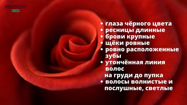 Что вы знаете о Пророке? смотреть онлайн