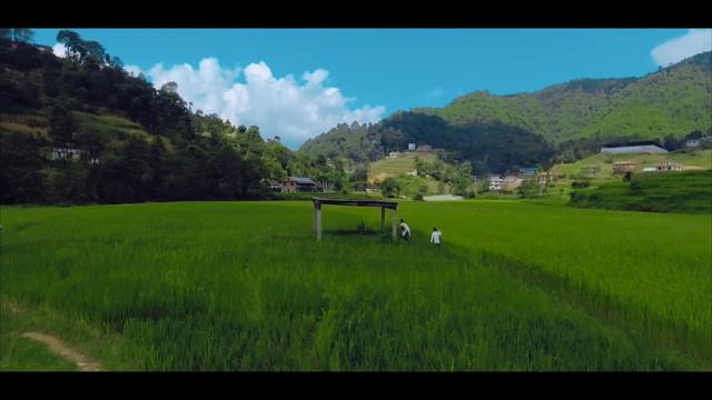 Ekdev Limbu - "Sirful" (official Video) смотреть онлайн